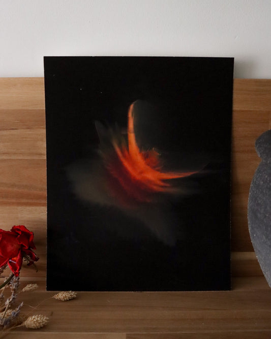 Ember - The Flora Series (Art Print)
