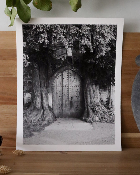 Passage - The Cotswolds (Photographic Print)