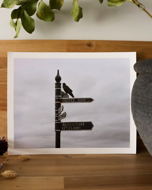 Perched - Cliffs of Moher (Photographic Print)