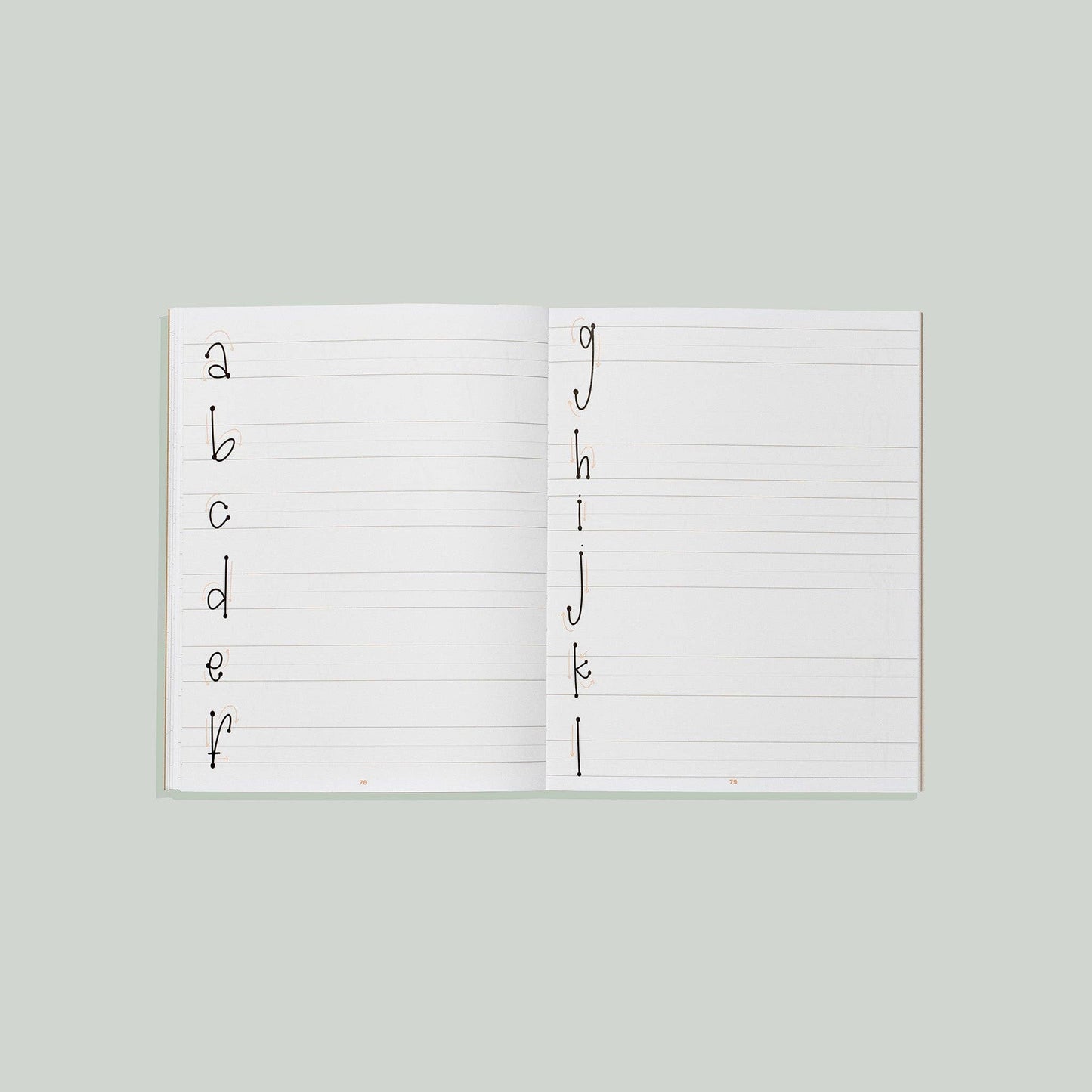 Learn to Letter with Luna the Llama (Activity Book for Kids)