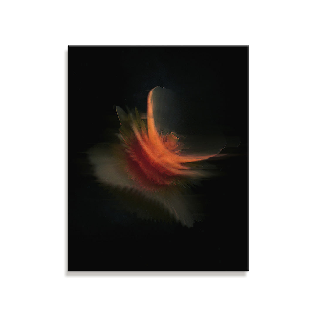 Ember - The Flora Series (Art Print)