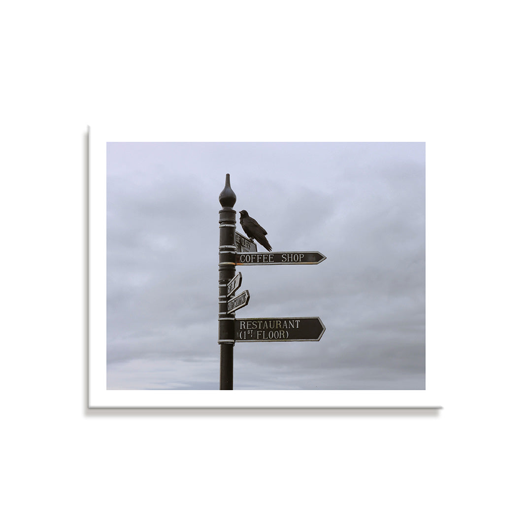 Perched - Cliffs of Moher (Photographic Print)