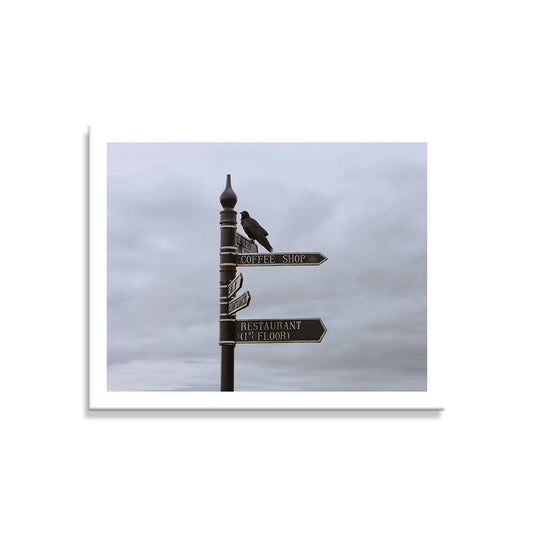 Perched - Cliffs of Moher (Photographic Print)